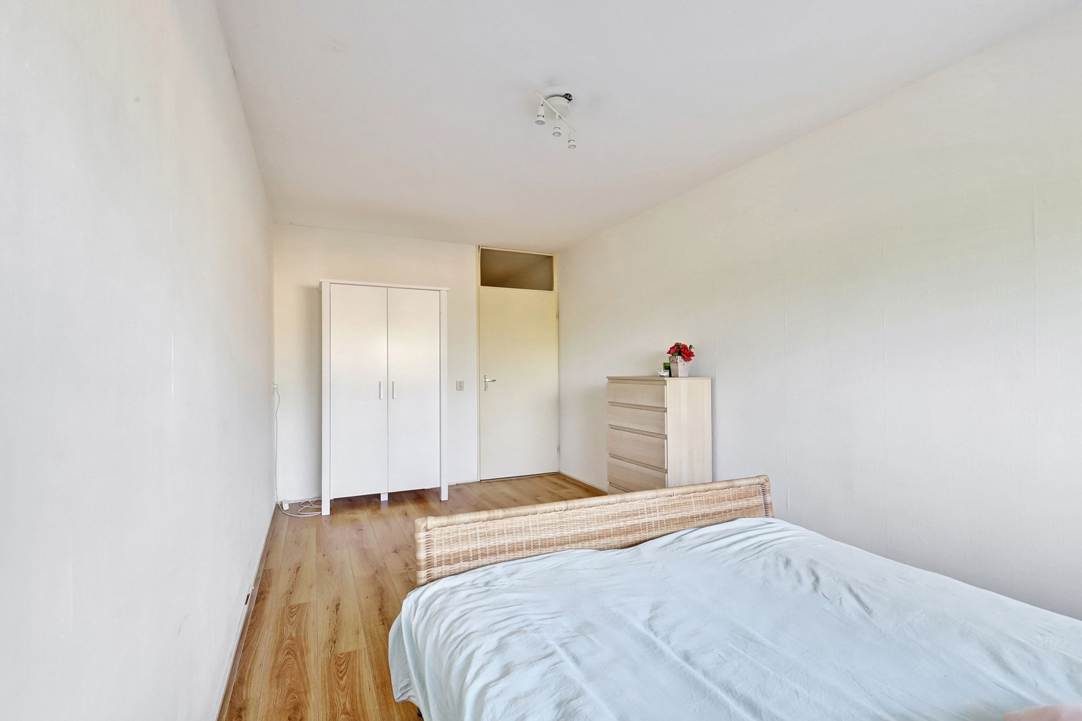 Photo 6 of Grote Beer 19