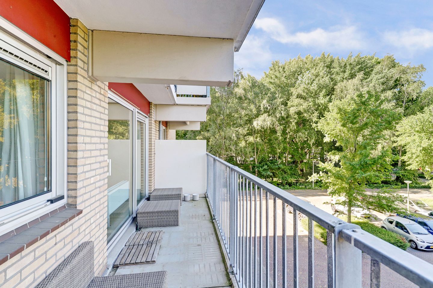 Photo 10 of Grote Beer 19