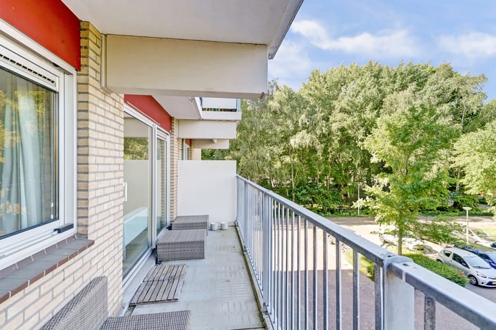 Foto 10 van Grote Beer 19