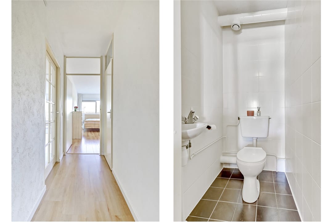 Photo 11 of Grote Beer 19