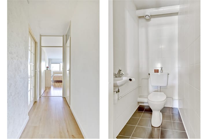 Foto 11 van Grote Beer 19