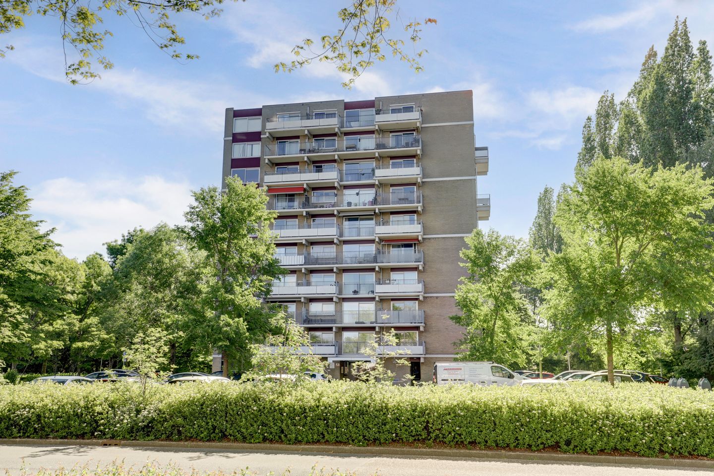 Photo 14 of Grote Beer 19