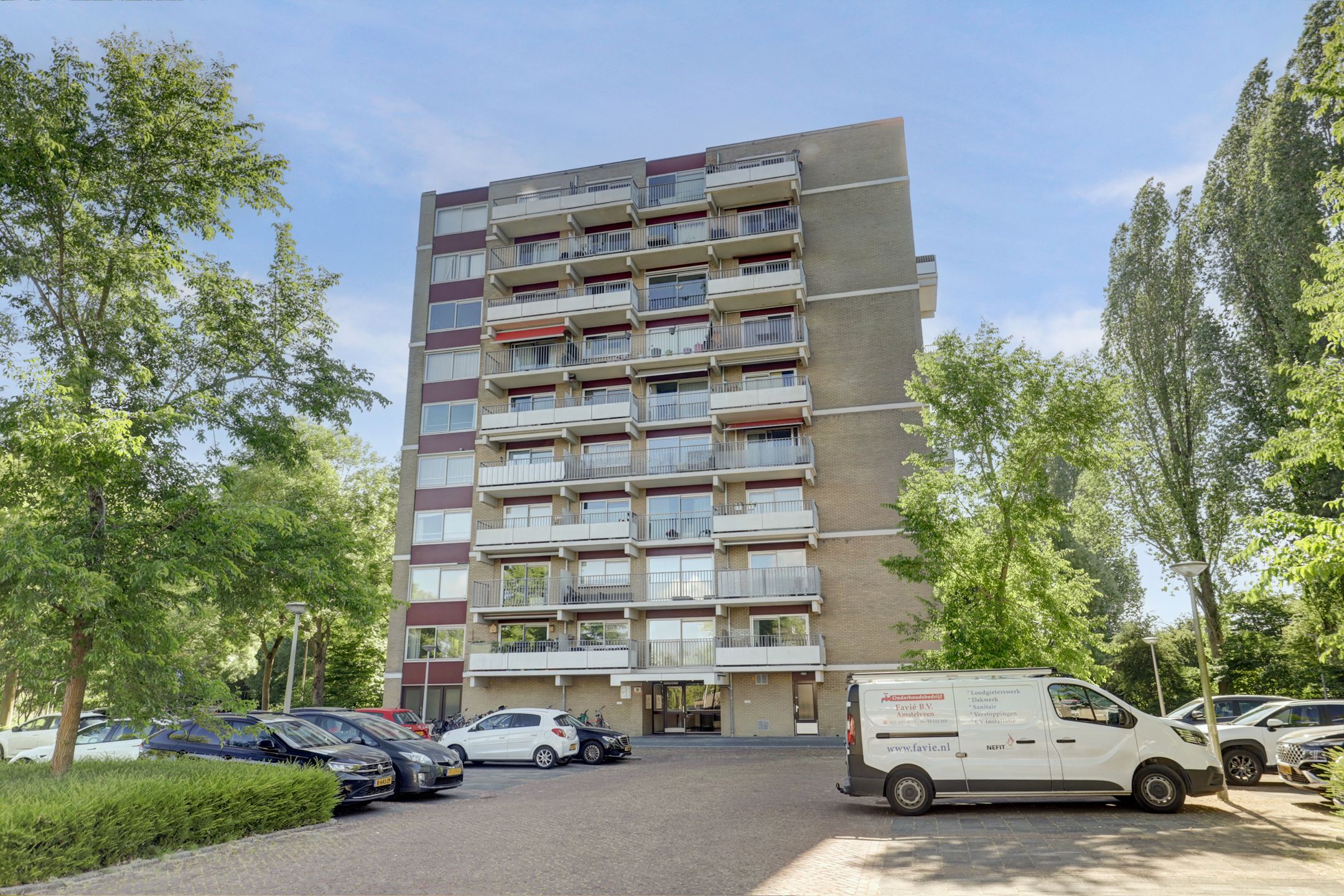 Photo 15 of Grote Beer 19