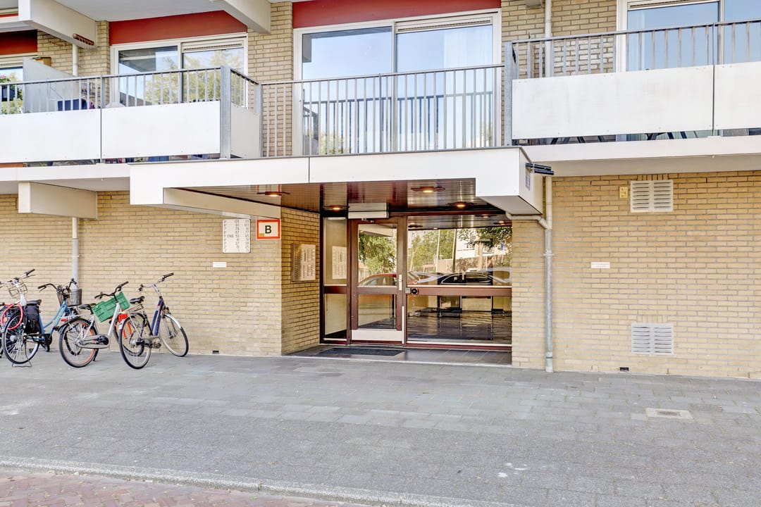 Photo 16 of Grote Beer 19