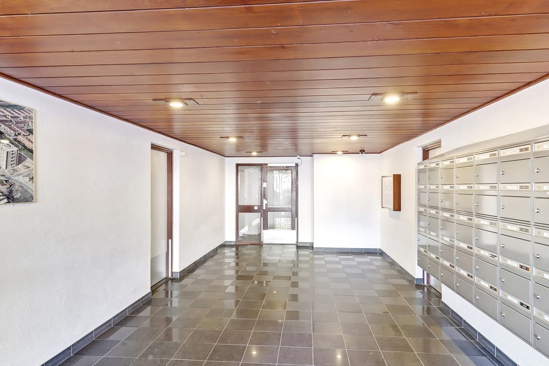 Photo 17 of Grote Beer 19