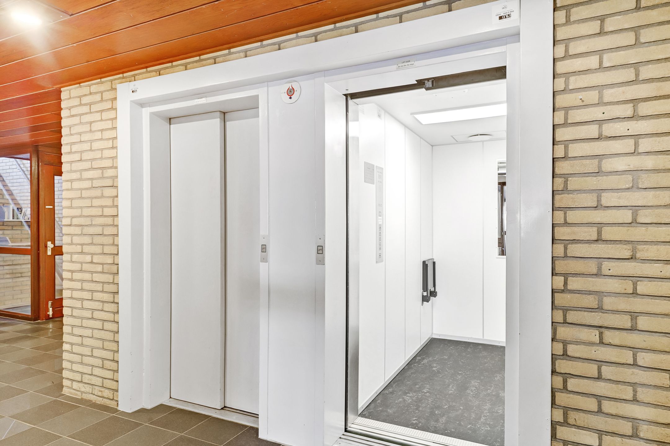 Photo 18 of Grote Beer 19