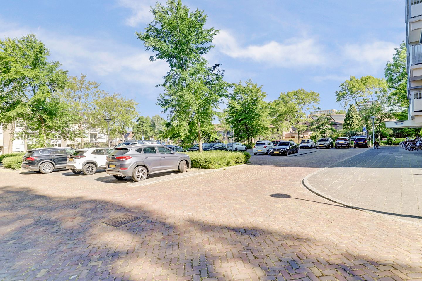 Photo 19 of Grote Beer 19