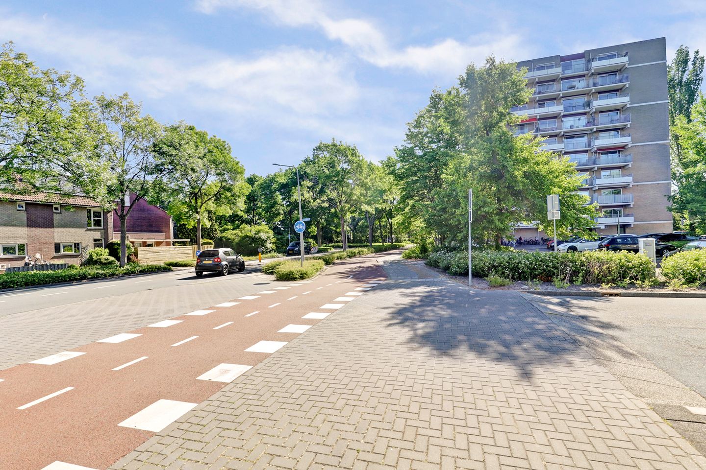 Photo 20 of Grote Beer 19