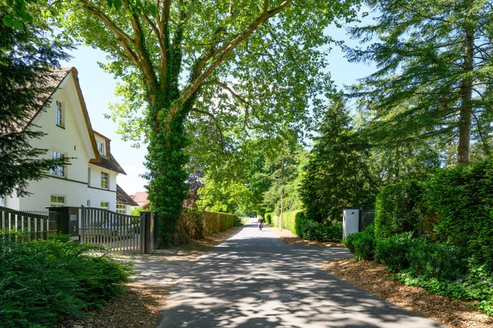 Foto 45 van Ravensweerdsweg 8