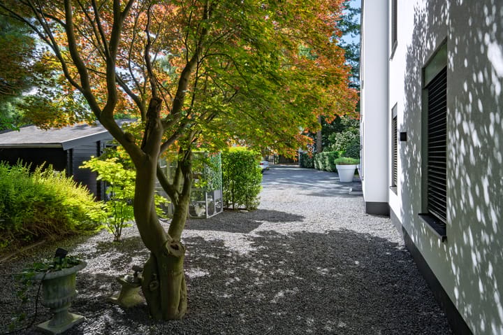 Foto 48 van Ravensweerdsweg 8