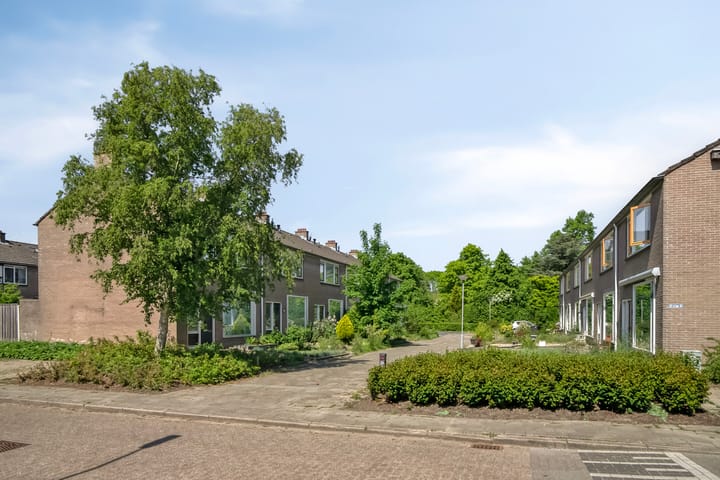 Foto 36 van Hugo de Grootstraat 39