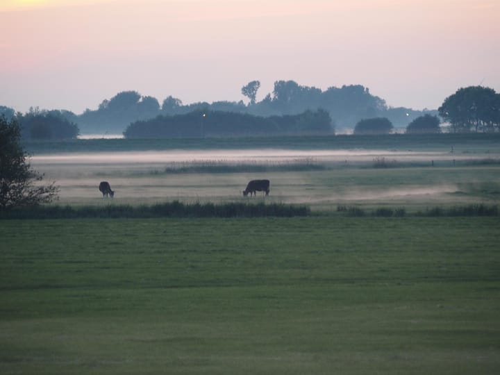 Foto 71 van Westfriesedijk 166