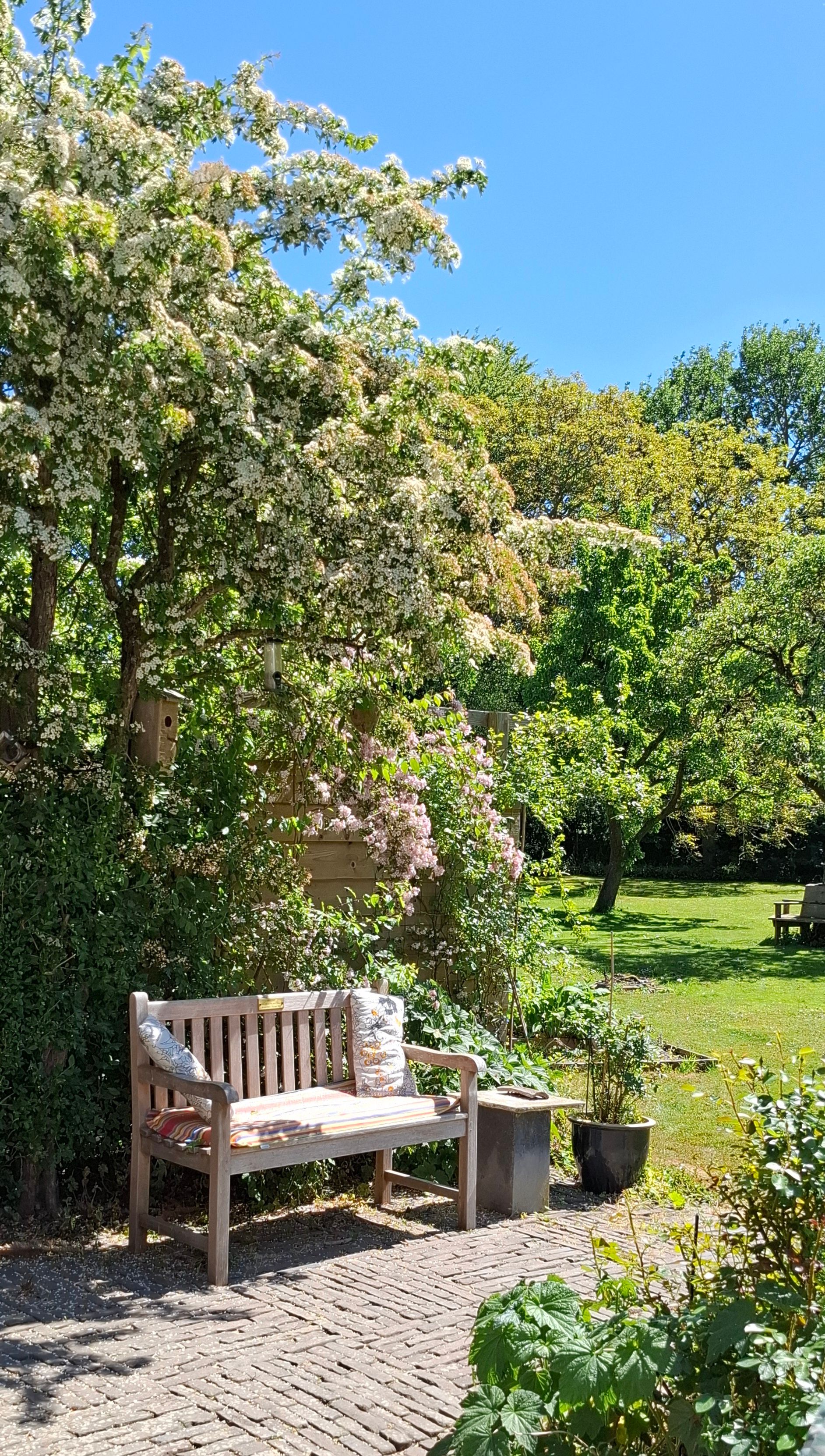 Foto 63 van Westfriesedijk 166