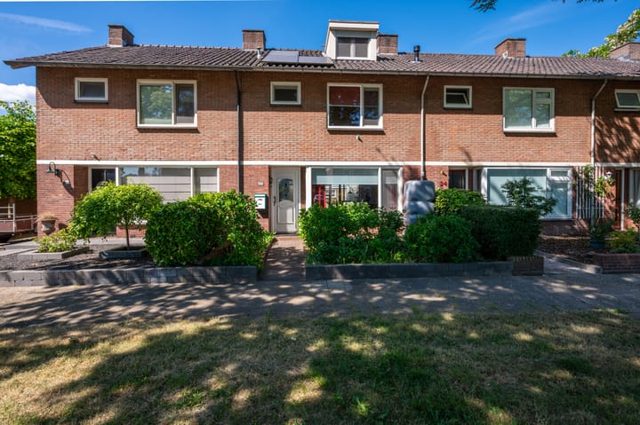 undefined main image