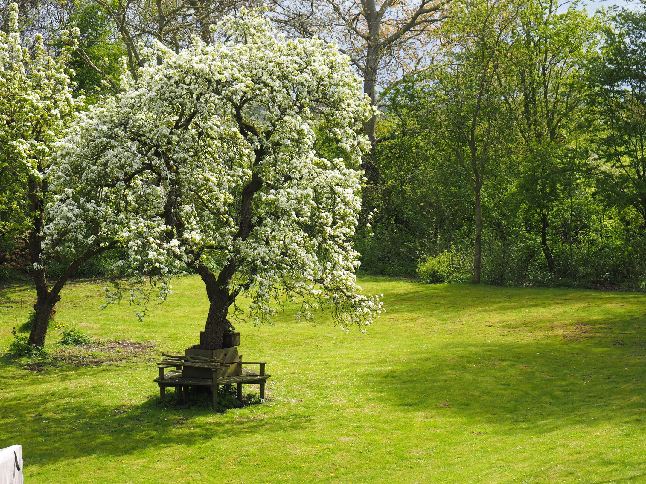 Foto 66 van Westfriesedijk 166