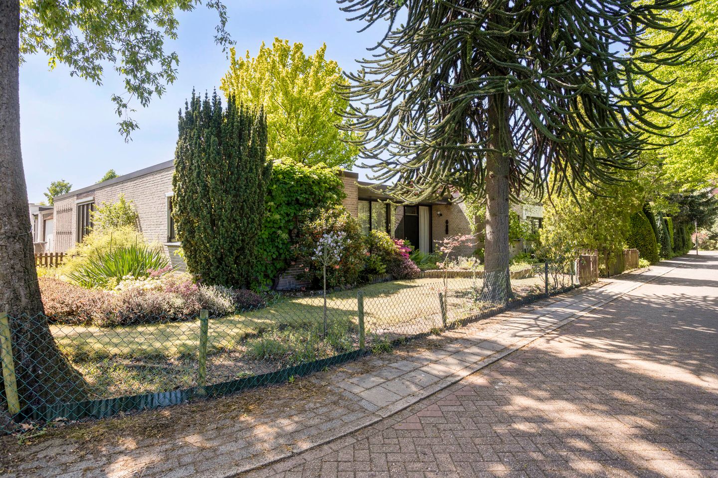 Foto 5 van van Swietenstraat 6