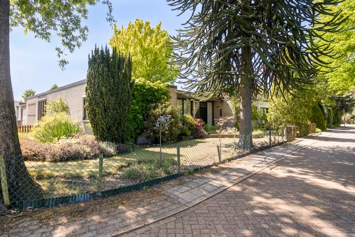 Foto 5 van van Swietenstraat 6