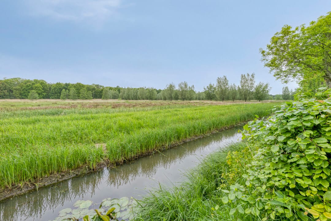 Foto 32 van Raaimoeren 66