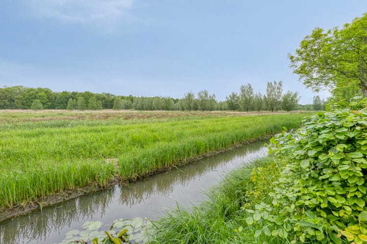 Foto 32 van Raaimoeren 66