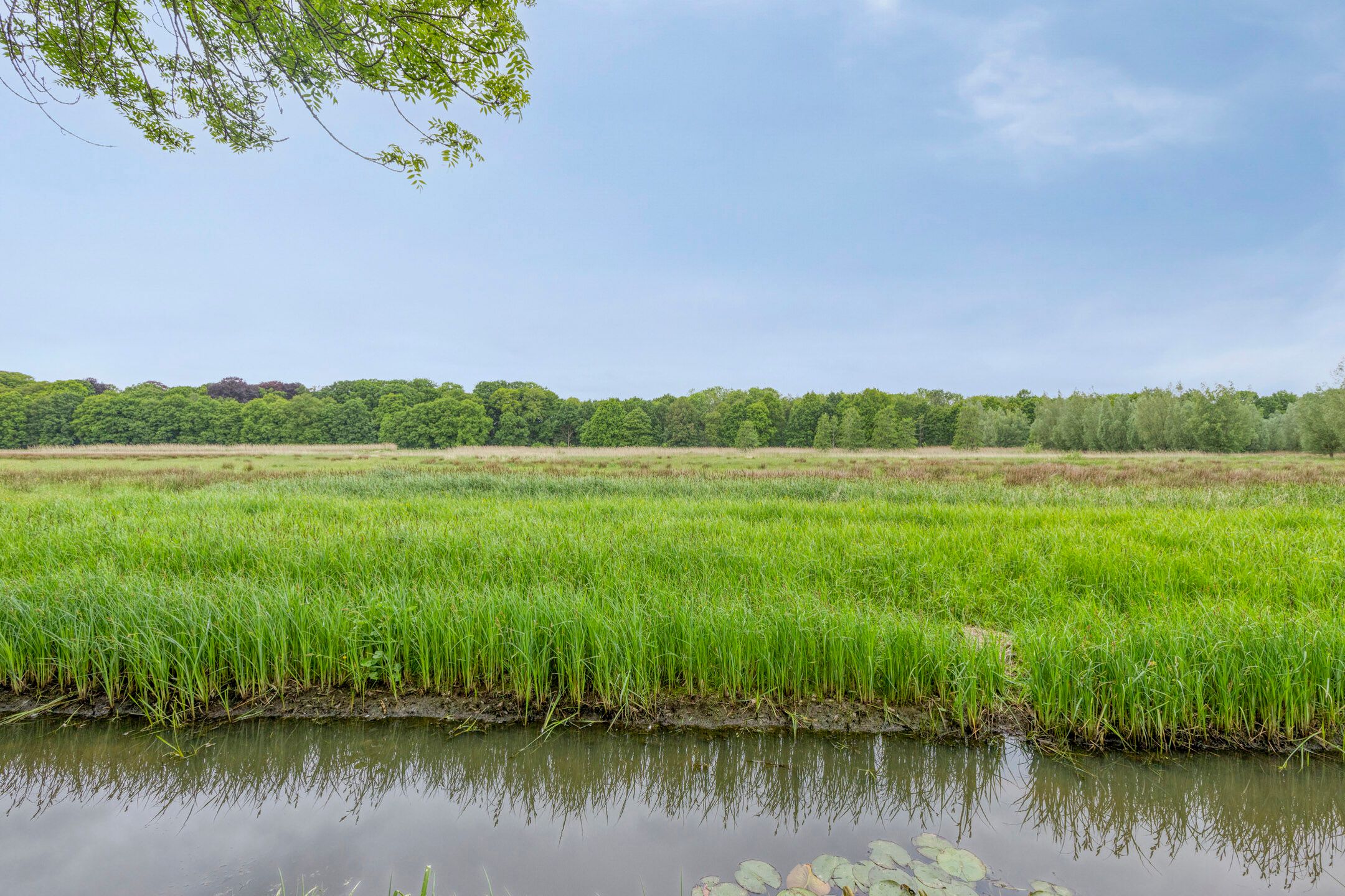 Foto 33 van Raaimoeren 66