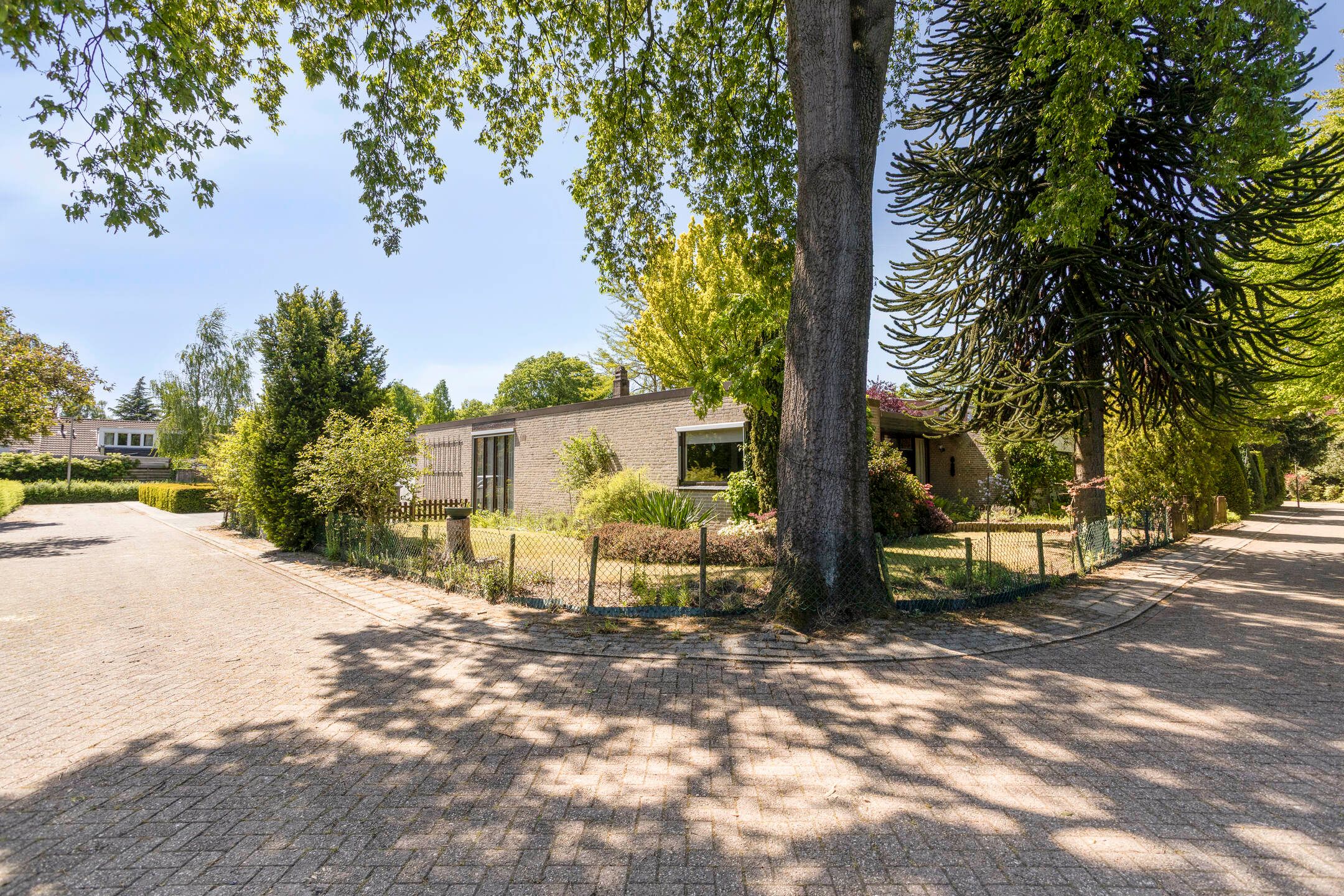 Foto 36 van van Swietenstraat 6