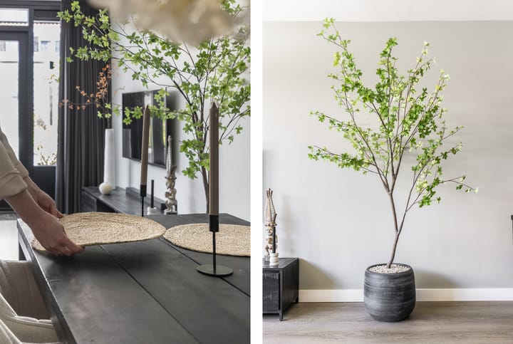 Foto 10 van Voorweide 47