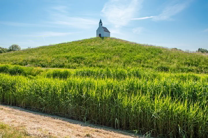 Foto 24 van Hoofpolderstraat 10