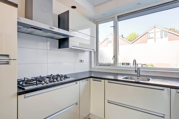 Photo 14 of Tongnaald 42