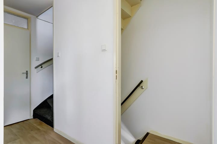 Photo 17 of Tongnaald 42