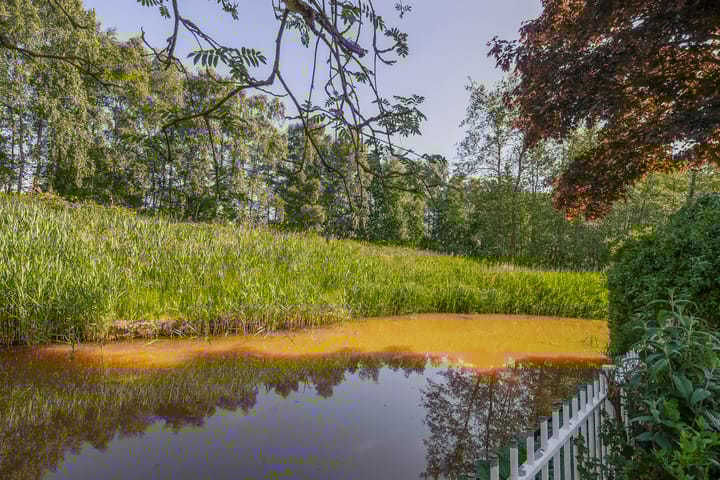 Foto 35 van Reiger 14