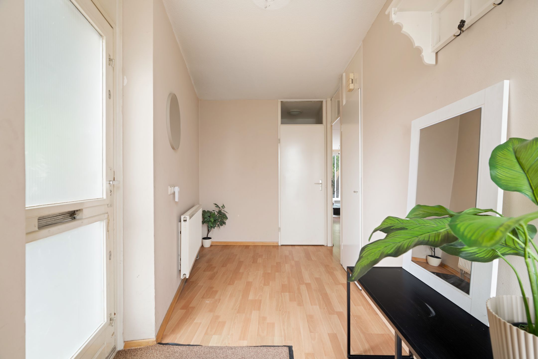 Foto 6 van Dwergvinvisstraat 3