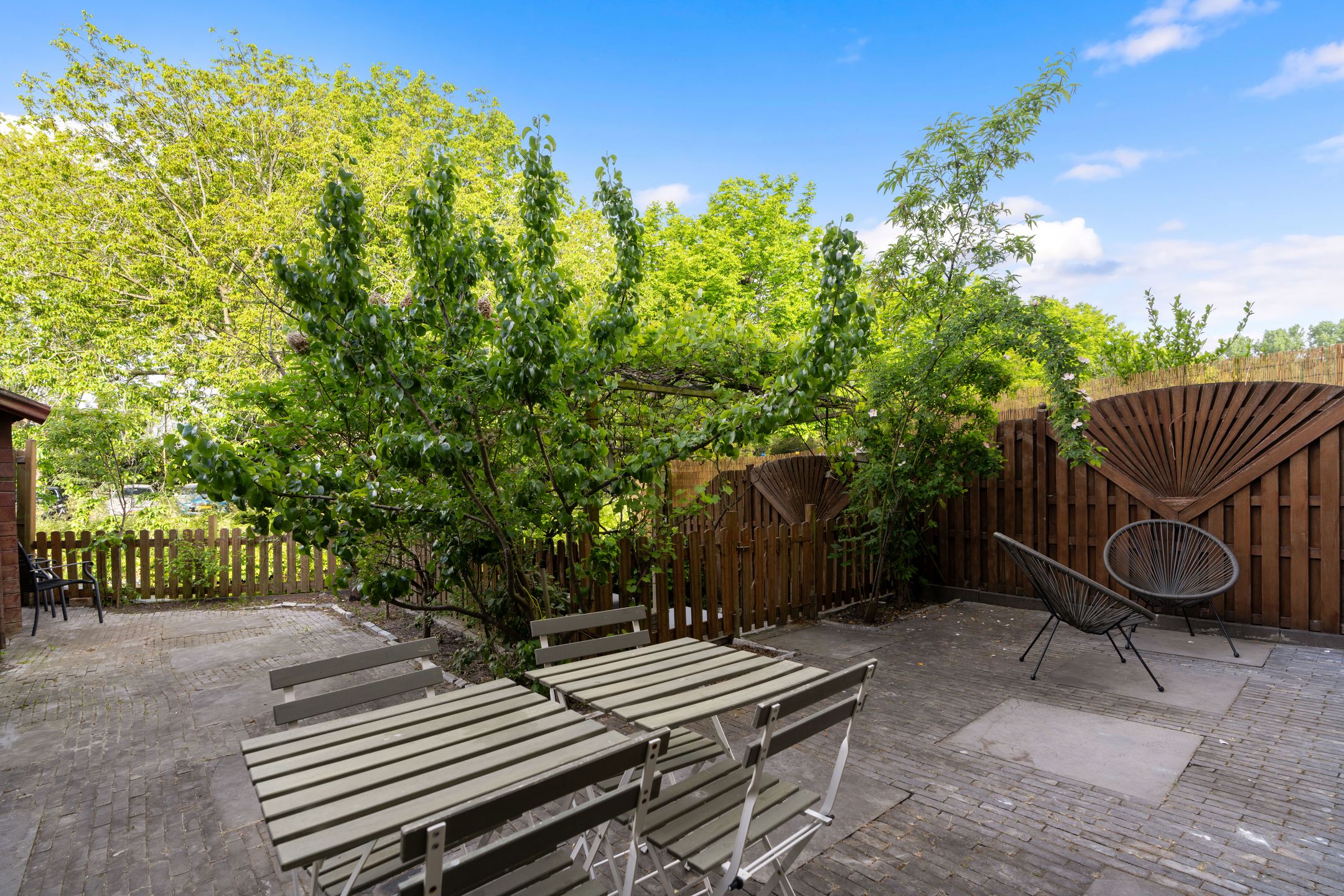 Foto 3 van Dwergvinvisstraat 3