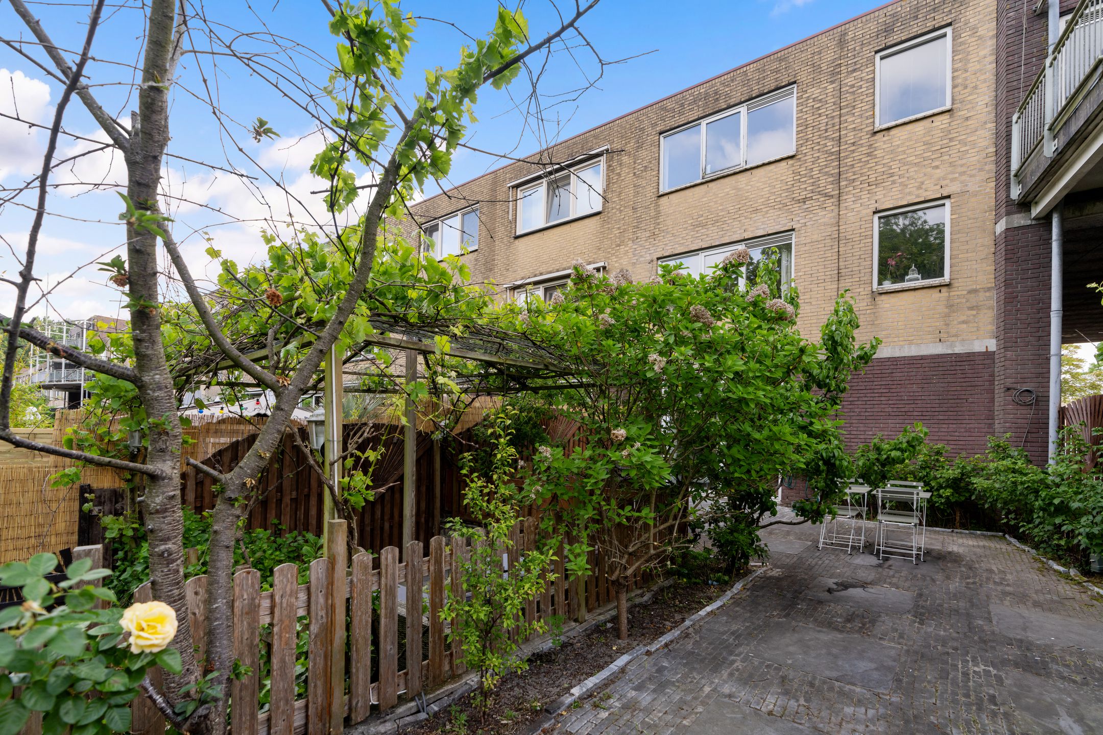 Foto 12 van Dwergvinvisstraat 3