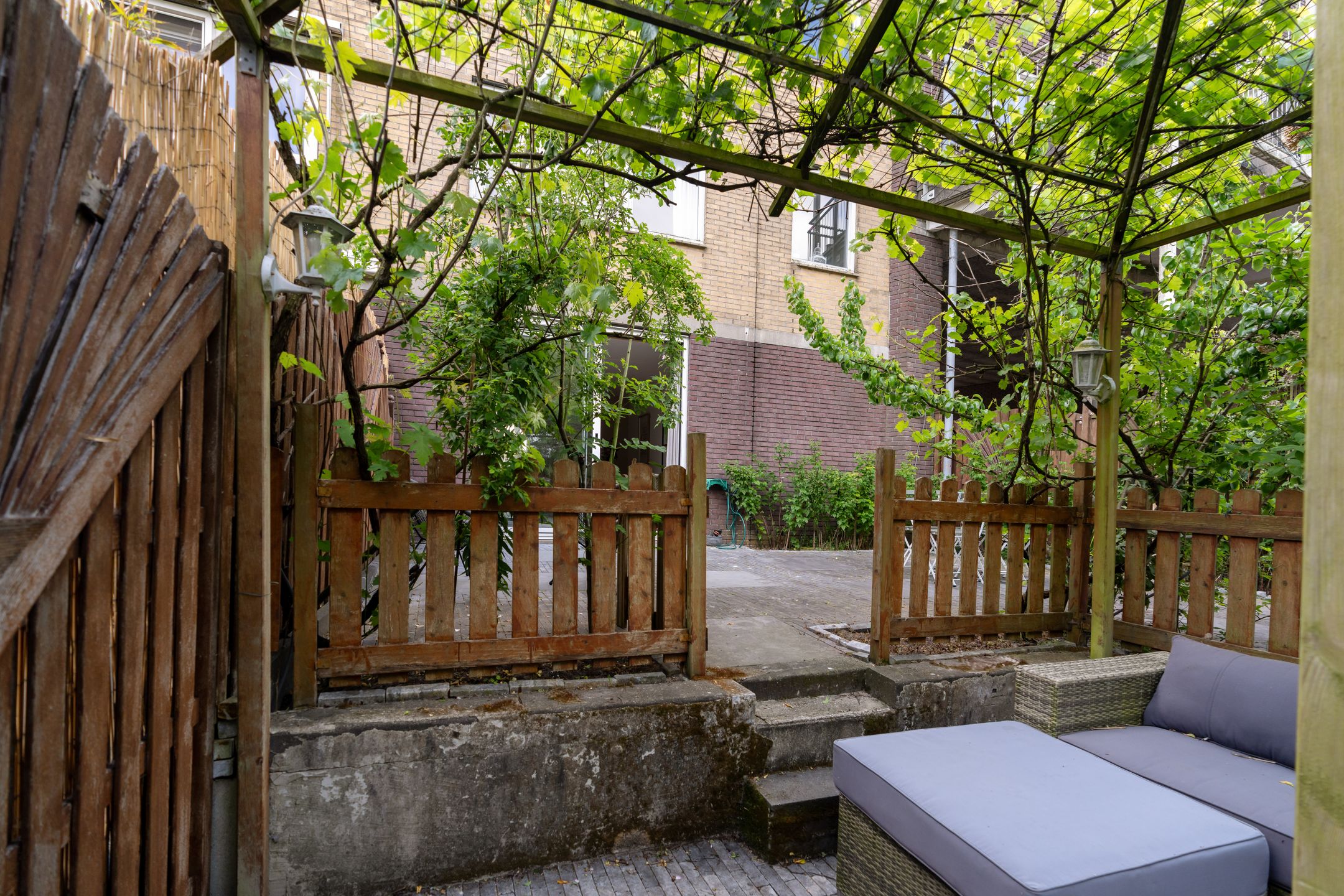 Foto 15 van Dwergvinvisstraat 3