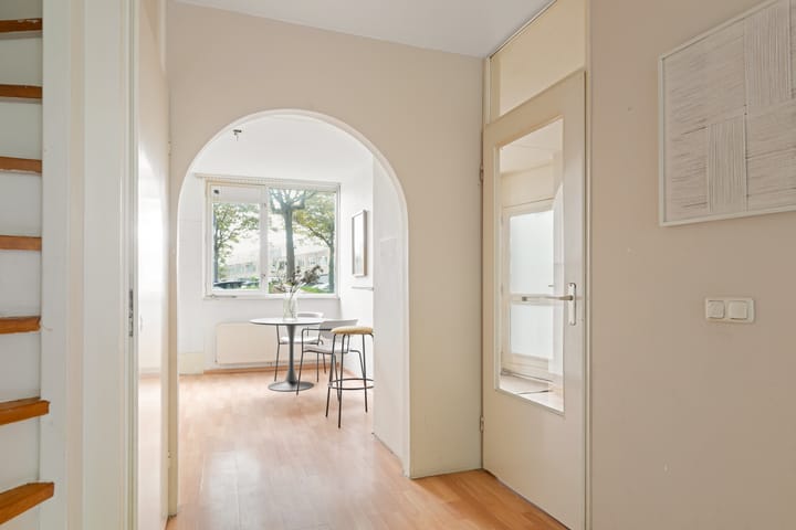 Foto 19 van Dwergvinvisstraat 3