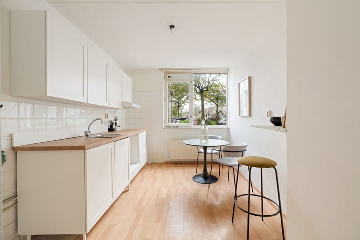 Foto 20 van Dwergvinvisstraat 3