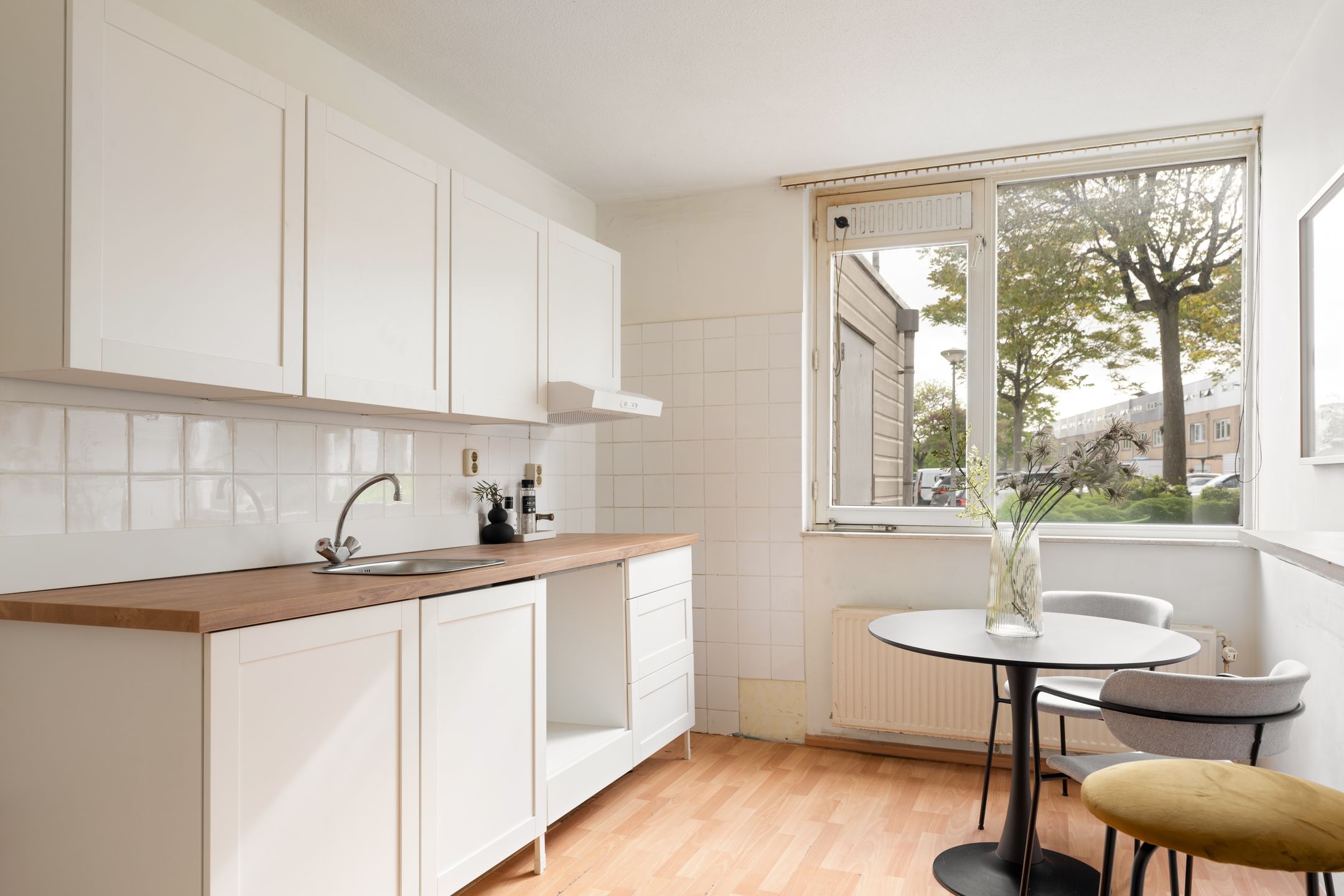 Foto 21 van Dwergvinvisstraat 3