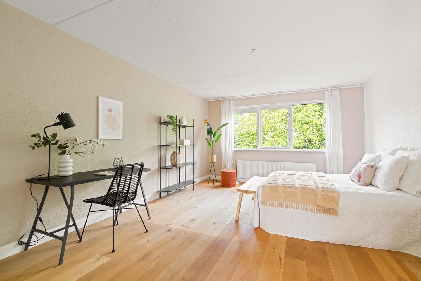 Foto 29 van Dwergvinvisstraat 3