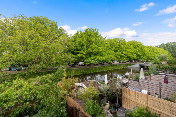 Foto 30 van Dwergvinvisstraat 3