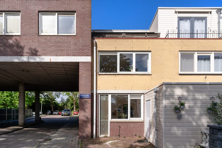 Foto 39 van Dwergvinvisstraat 3