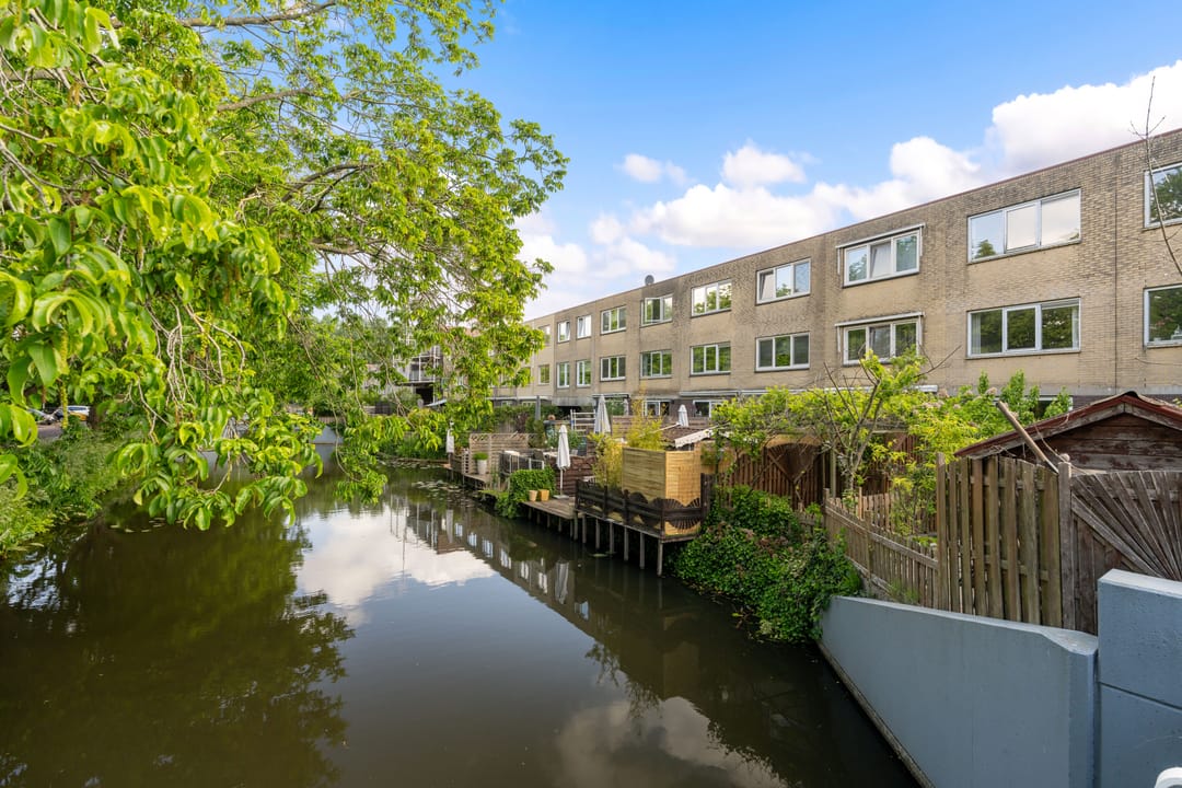 Foto 1 van Dwergvinvisstraat 3