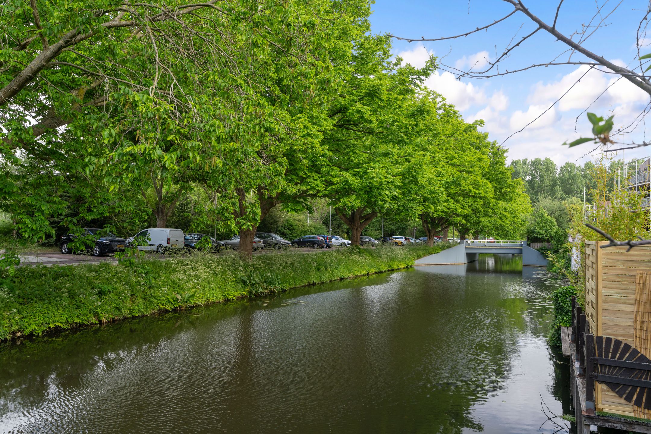 Foto 42 van Dwergvinvisstraat 3