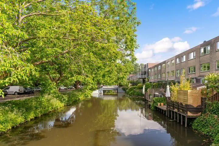 Foto 43 van Dwergvinvisstraat 3