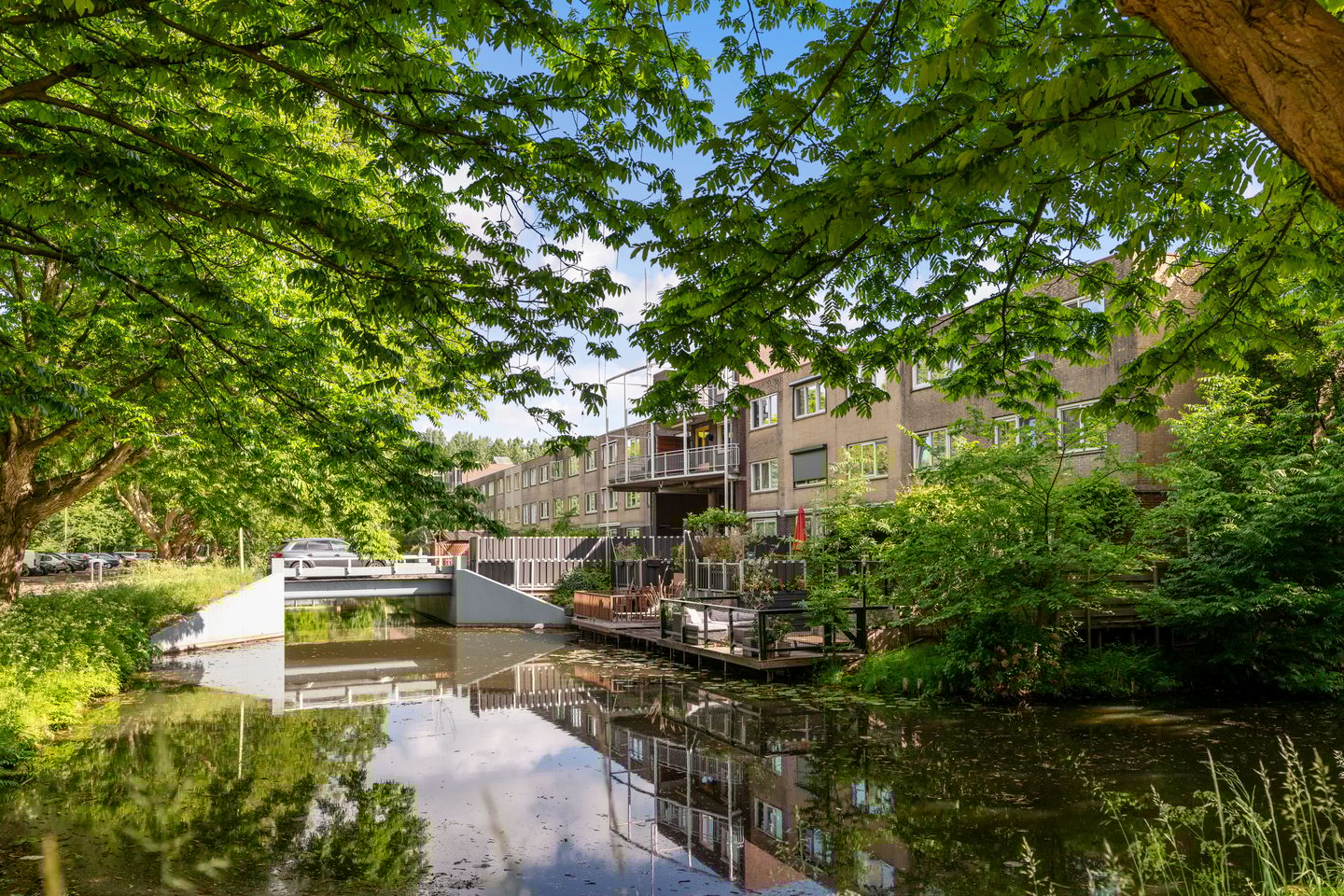 Foto 44 van Dwergvinvisstraat 3