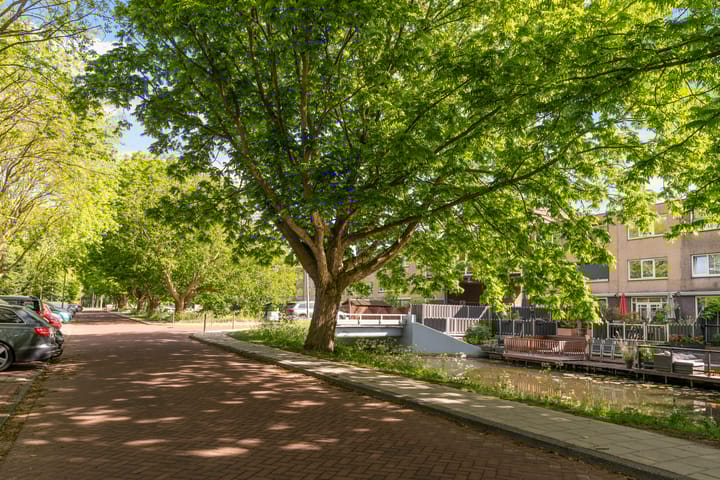 Foto 45 van Dwergvinvisstraat 3