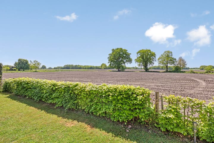 Foto 3 van Lomanskamp 18