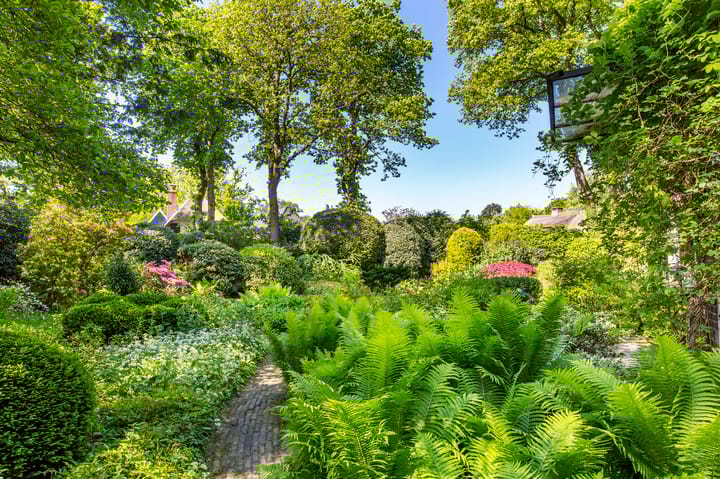 Foto 32 van William Singerweg 13