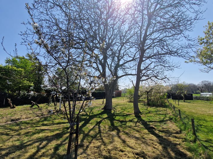 Foto 51 van Oude Steenstraat 14