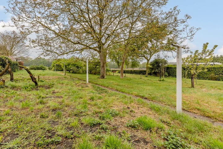 Foto 52 van Oude Steenstraat 14