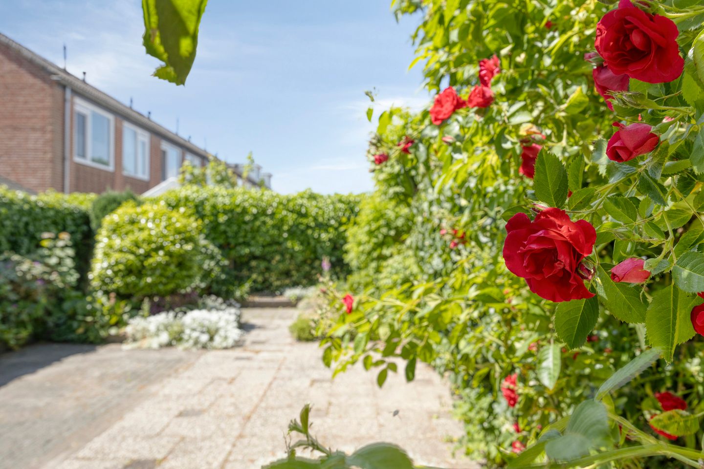 Foto 25 van Essenplein 3